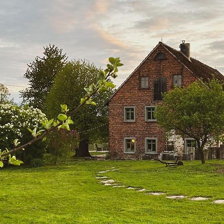 Gryfów Śląski Dom Na Krzewiu Bed & Breakfast エクステリア 写真