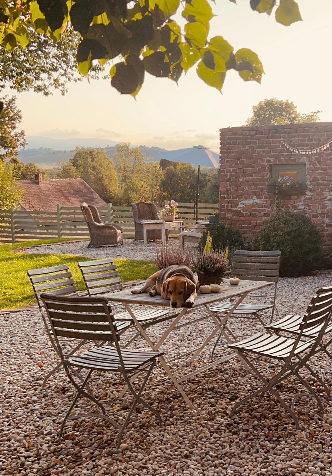 Gryfów Śląski Dom Na Krzewiu Bed & Breakfast エクステリア 写真
